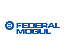 Logo Federal Mogul